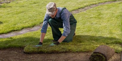 faili AdobeStock_320822549.jpg allalaadimine