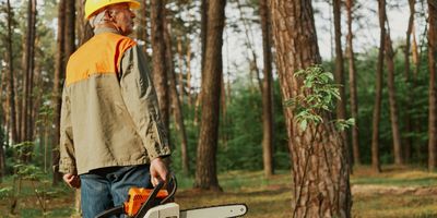 faili AdobeStock_439538740.jpg allalaadimine