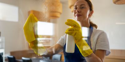 faili professional-cleaning-service-person-cleaning-office-window_laiem.jpg allalaadimine